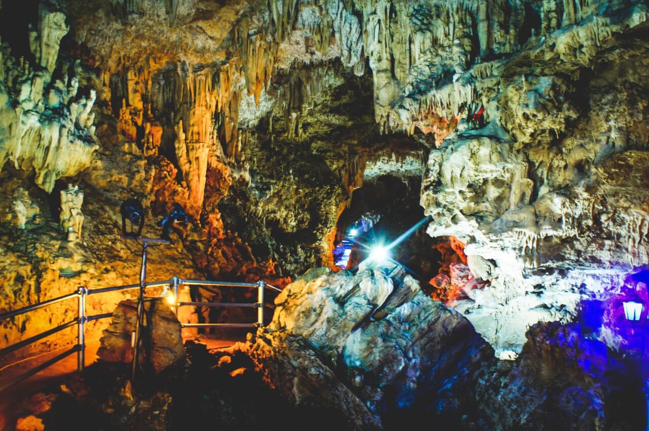 沖縄の八重山鍾乳洞動植物園
