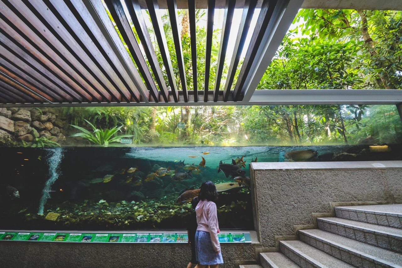 東京の熱帯環境植物館