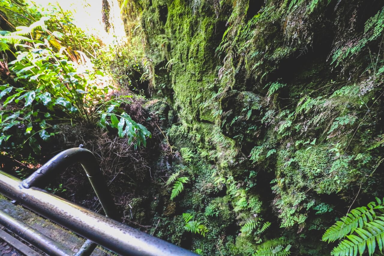 ハワイの溶岩洞窟