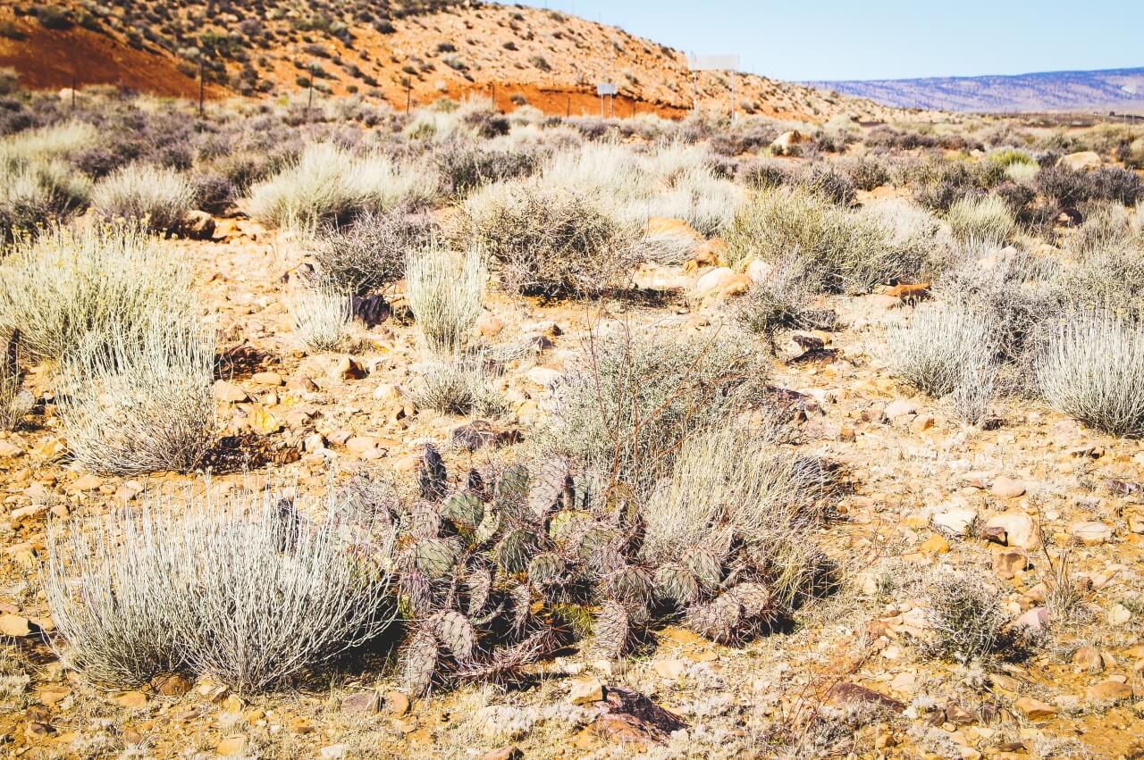 アメリカのリトルコロラド川峡谷