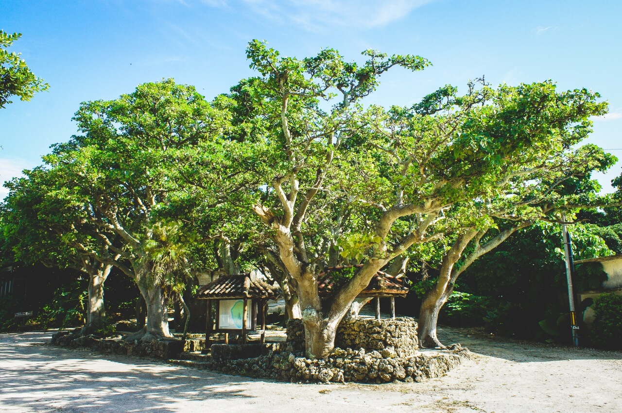 沖縄の竹富島