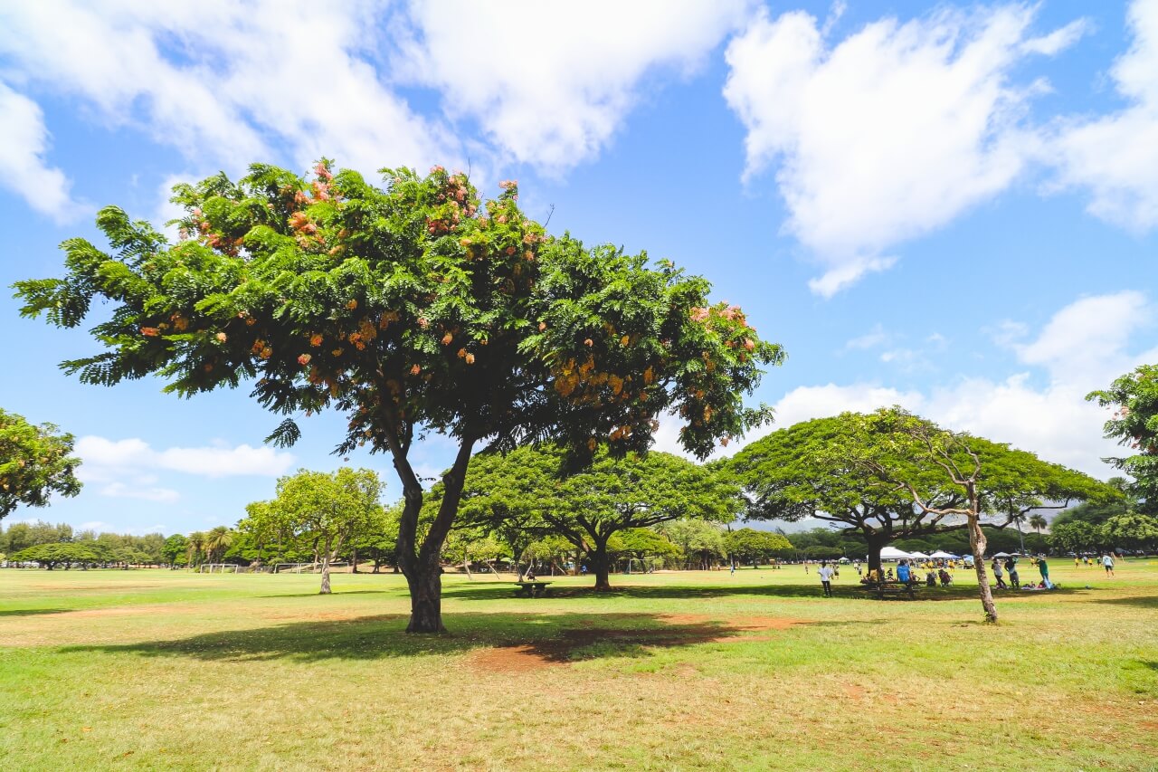 ハワイのカピオラニ公園